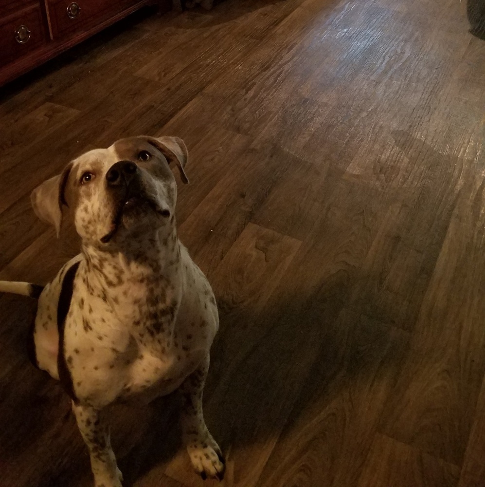 Meet your Posher, Alex